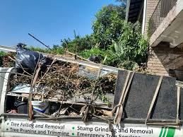 Best Furniture Removal  in Web, AL