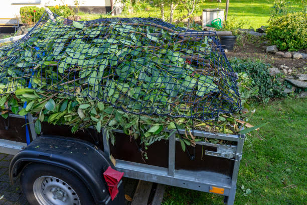 Best Dumpster Rental Services  in Web, AL